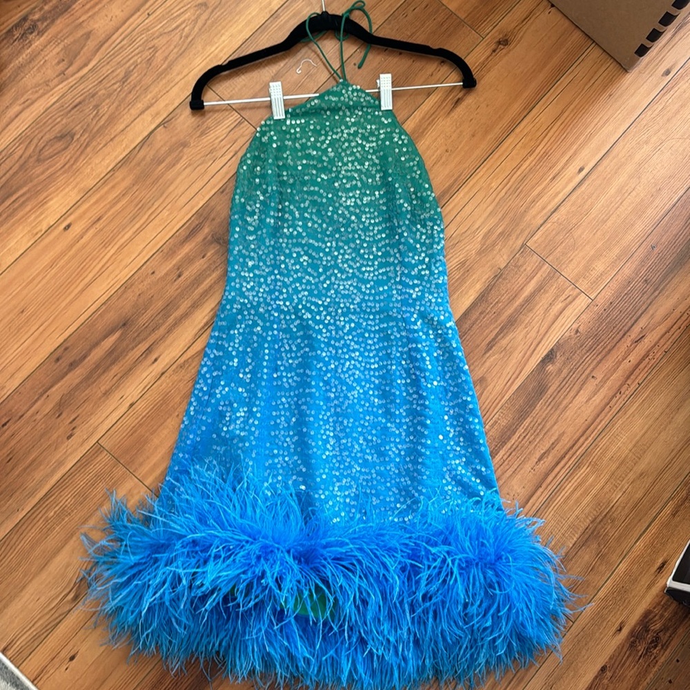 Ombré sequin Sau Lee dress with feather trim. Worn once: